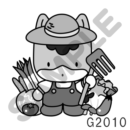 13 キャップ以外・グレー-G2010