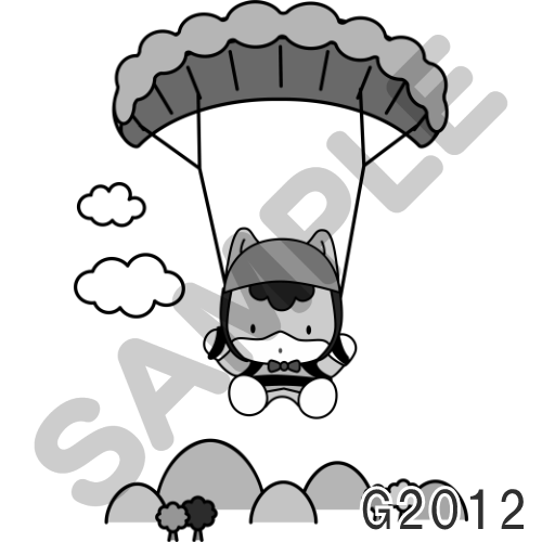 13 キャップ以外・グレー-G2012