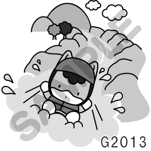 13 キャップ以外・グレー-G2013