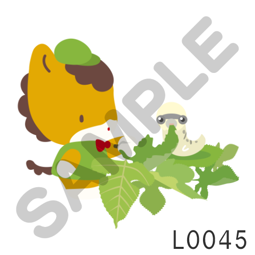 06 緑帽子・フチなし-L0045